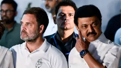 Manickam Tagore Slams MK Stalin, Calls Him Betrayer Over DMK-AIADMK Alliance Buzz