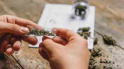 MDMA, Hydro Ganja Worth Rs 20 Crore Seized in Bengaluru