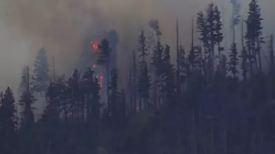 Medical Plane Crashes in New Mexico, Killing All Four Aboard