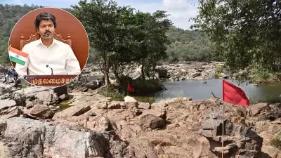 Mekedatu Dam Row: TN CM Vijay Urges Fast-Track Legal Action