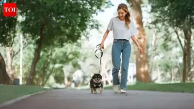 Micro Walks: Short Bursts of Walking That Boost Health