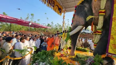 Minister Eshwar B Khandre Unveils Dasara Elephant Arjuna's Memorial in Karnataka