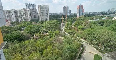 Miyawaki Forests in Bengaluru Need More Than Just Trees for Benefits