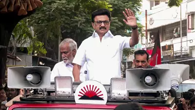 MK Stalin Says DMK Will Allow Vijay to Form Tamil Nadu Govt, Won't Disturb for Six Months