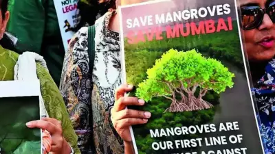 Mumbai Citizens to Form Human Chain Against Mangrove Destruction for Coastal Road