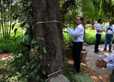 Mumbai Tree Census Begins After 8 Years, 64 Teams Deployed