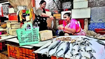 Mumbai's Koli women launch first fish producer company, transform trade