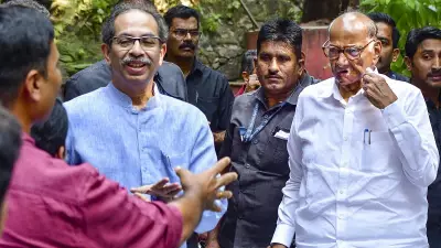MVA to Contest All 17 MLC Seats Jointly in Maharashtra Polls