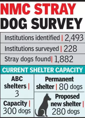 Nagpur Survey Reveals 1,882 Stray Dogs in Public Institutions, No Shelter Space Available