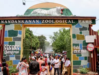 Nandankanan Zoo to Get Four Cheetahs from South Africa
