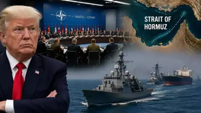 NATO Considers Deploying Forces to Protect Shipping in Strait of Hormuz