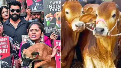 NCRB Tracks Animal Cruelty for First Time: 9,039 Cases in 2024