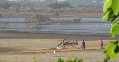 NCSCM completes verification of 23,000 wetlands in Maharashtra