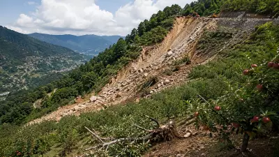 NHAI to Pay Rs 1.80 Crore Compensation for Shimla Orchard Damage After 'Act of God' Claim