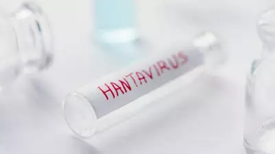 No Immediate Public Health Threat from Hantavirus in India: NIV Chief