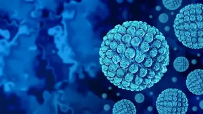 Norovirus Outbreak Hits Caribbean Princess Cruise Ship, Over 100 Sick