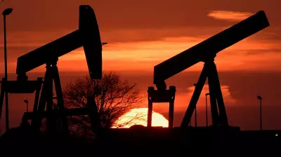 Oil Drops Over 2% After Trump Delays Iran Attack, Hints at Deal