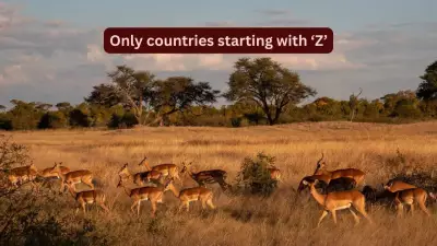 Only Two Countries Start with 'Z': Why Travelers Should Visit Zambia and Zimbabwe