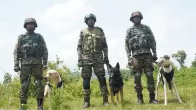 Operation Sheruwali Day 4: Forces Intensify Hunt for Terrorists in Rajouri Forests