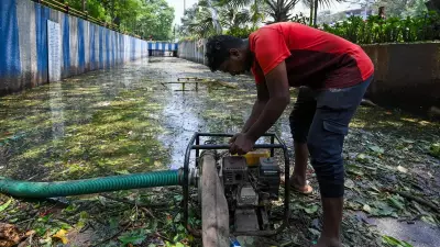 Over 50 Teams Deployed to Tackle Rain Damage in Bengaluru