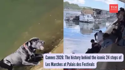 Parisians Form Human Chain to Rescue Dog from Seine River