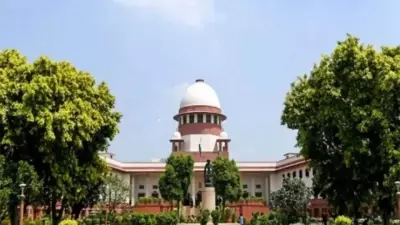 Political Banter in Supreme Court: Senior Advocates Spar Over Economy