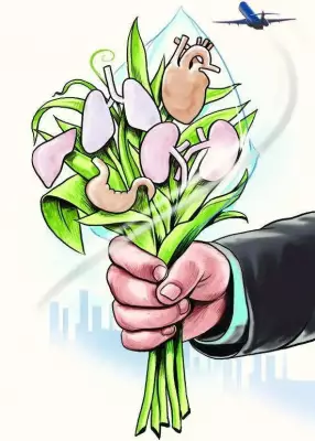 Pune Military Hospital Saves Three Lives with Multi-Organ Donation