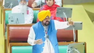 Punjab CM Bhagwant Mann Accused of Being Drunk in Assembly, Opposition Demands Dope Test