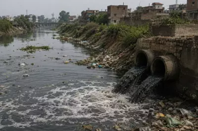Punjab's Poisoned Canals and Environmental Governance Crisis