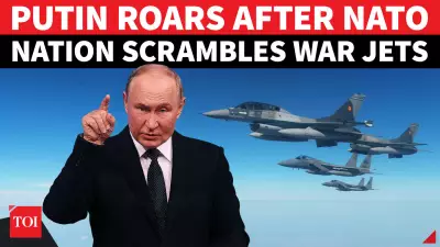 Putin Warns NATO Nation After Drone Crash in Romania; 'You Gave Free Pass to Zelensky'