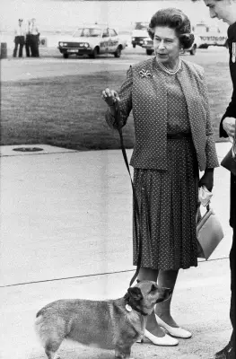 Queen Elizabeth II's Lifelong Love Affair with Corgis: A Royal Phenomenon