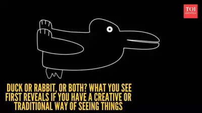 Rabbit-Duck Illusion: What It Reveals About Your Creativity