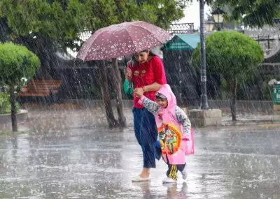 Rain and Snow Bring Relief from Heat in Himachal Pradesh