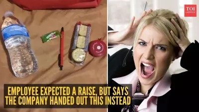 Reddit User Gets 'Goodie Bag' Instead of Salary Hike, Post Goes Viral