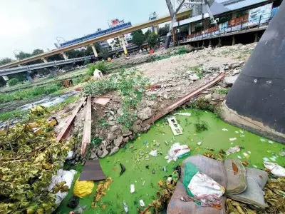 Rising Temperatures Fuel Mosquito Surge in Pune, Residents Demand Action