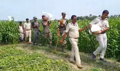 Rs 2.24 Crore Cash Buried in Jute Field Seized After Chairman's Arrest