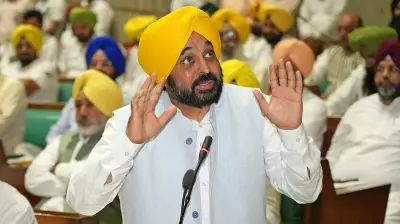 SC Refuses to Hear Plea Over Punjab CM's Stray Dogs Remark