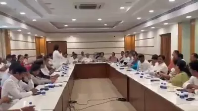 Sharad Pawar Chairs Review Meet to Assess Political Situation, Revive Party