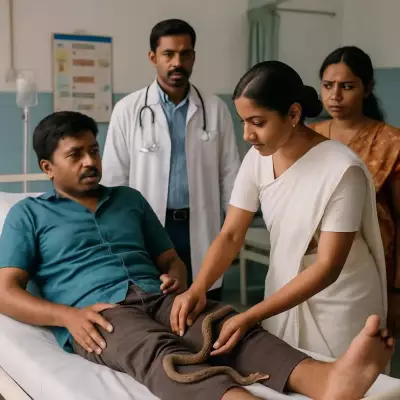Shivamogga ADC Warns Against Traditional Healers for Snakebite Treatment