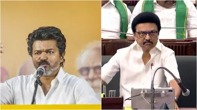 Tamil Nadu 2026: AIADMK, TVK Neck-and-Neck; DMK Third