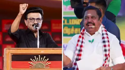 Tamil Nadu Assembly Election 2026: Counting Day Key Candidates and Battles