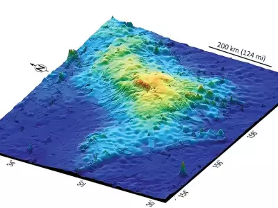 Tamu Massif: Pacific Giant Volcano or Complex Geological Structure?