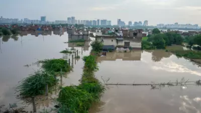 Telangana Rains: Four Farmers Dead, Three Injured in Mancherial Shed Collapse