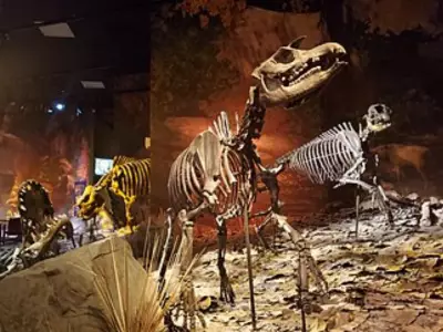 Tennessee Road Project Reveals 6.6-Million-Year-Old Fossil Site