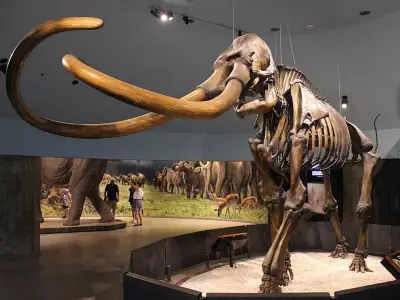 Texas Teens' 1978 Discovery of Mammoth Fossils Revolutionizes Ice Age Knowledge