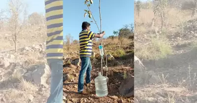 The Green Guardian of Karnataka's Karighatta Hill