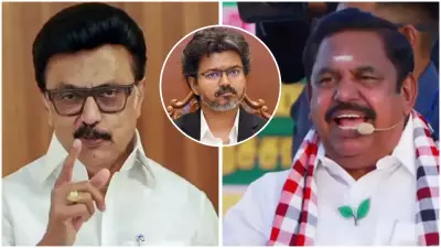Three AIADMK MLAs resign, join Vijay's TVK; DMK, AIADMK allege horse-trading