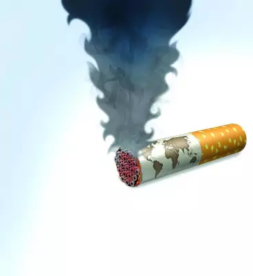 Tobacco-Related Cancers Rising in Bengaluru: Doctors Warn of Multi-Organ Impact
