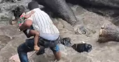 Tourist Crushed to Death as Two Elephants Clash at Dubare Camp