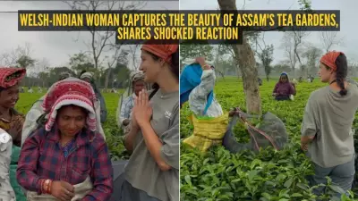 Travel Influencer Discovers Assam's Tea Gardens, Hails Women Workers